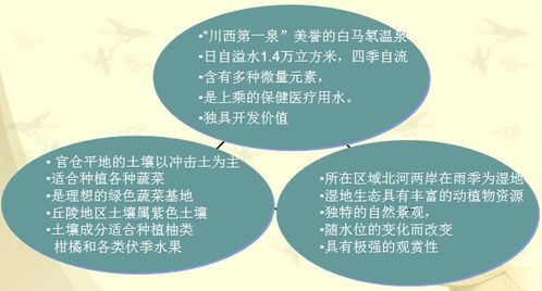 大型文化旅游地產項目整體規劃開發運作全案詳解